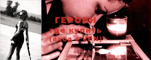 индика Каменка