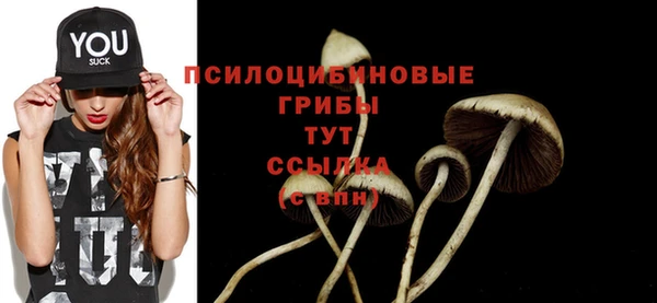 прущая мука Каменск-Шахтинский