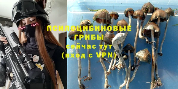 ALPHA PVP Армянск