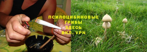 твердый Аркадак