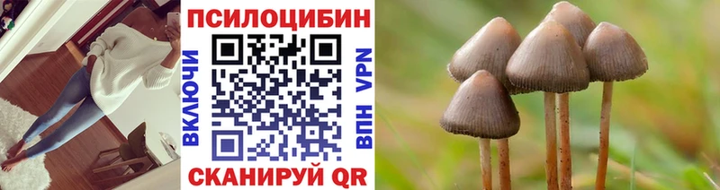 Псилоцибиновые грибы MAGIC MUSHROOMS Колпашево